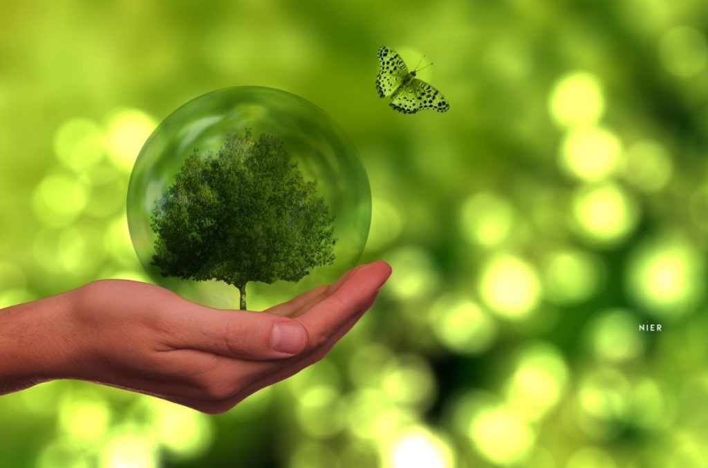 Carbon Footprint di prodotto